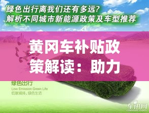 黄冈车补贴政策解读：助力绿色出行，共建美好家园