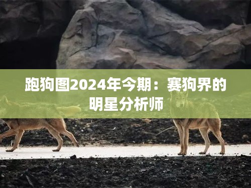 跑狗图2024年今期:赛狗界的明星分析师