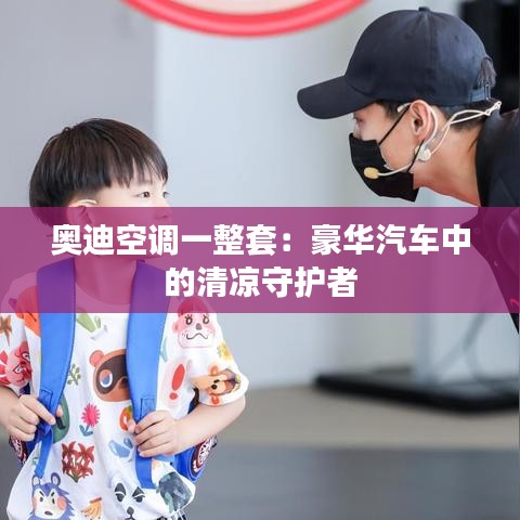 奥迪空调一整套：豪华汽车中的清凉守护者