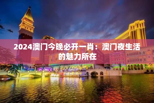 2024澳门今晚必开一肖：澳门夜生活的魅力所在
