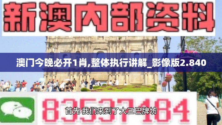 澳门今晚必开1肖,整体执行讲解_影像版2.840