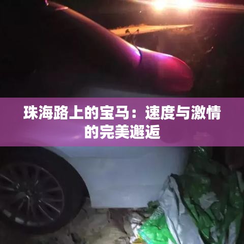 珠海路上的宝马：速度与激情的完美邂逅
