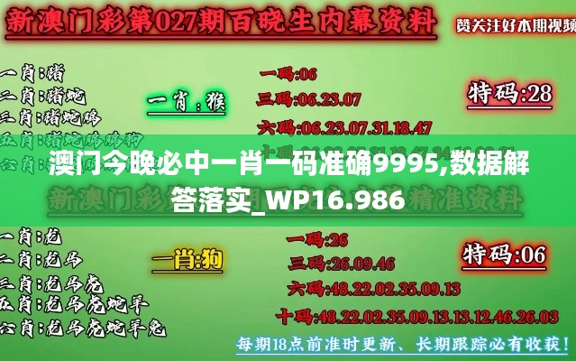 澳门今晚必中一肖一码准确9995,数据解答落实_WP16.986
