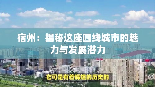 贵农贱商 第6页