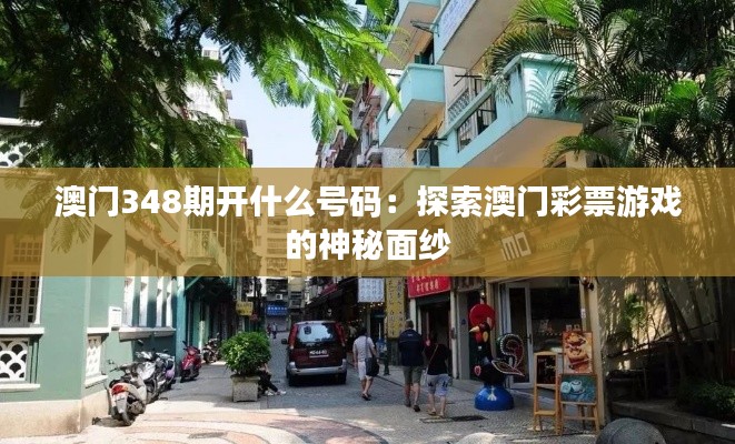 澳门348期开什么号码:探索澳门彩票游戏的神秘面纱