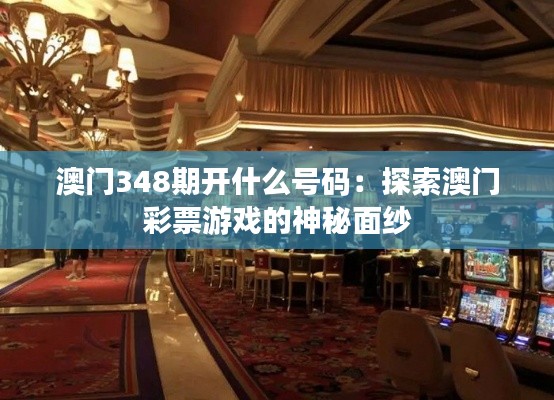 澳门348期开什么号码:探索澳门彩票游戏的神秘面纱