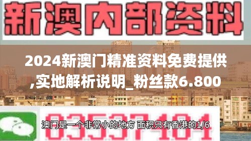 2024新澳门精准资料免费提供,实地解析说明_粉丝款6.800