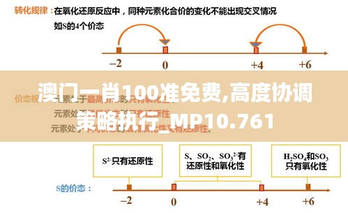 澳门一肖100准免费,高度协调策略执行_MP10.761