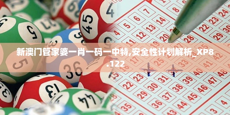 新澳门管家婆一肖一码一中特,安全性计划解析_XP8.122