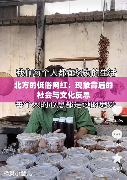 北方的低俗网红：现象背后的社会与文化反思