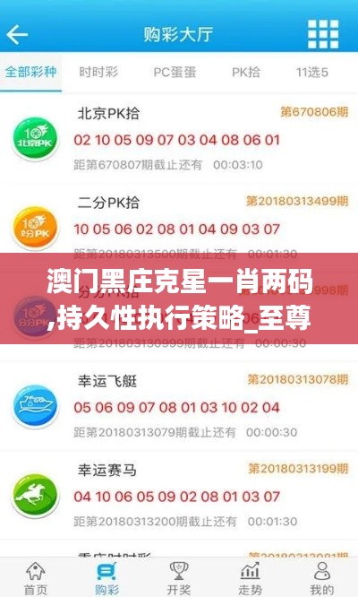澳门黑庄克星一肖两码,持久性执行策略_至尊版4.934