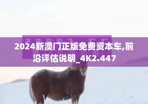 2024新澳门正版免费资本车,前沿评估说明_4K2.447