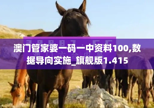 澳门管家婆一码一中资料100,数据导向实施_旗舰版1.415