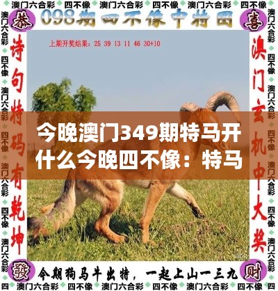 今晚澳门349期特马开什么今晚四不像：特马赛事的情感投注