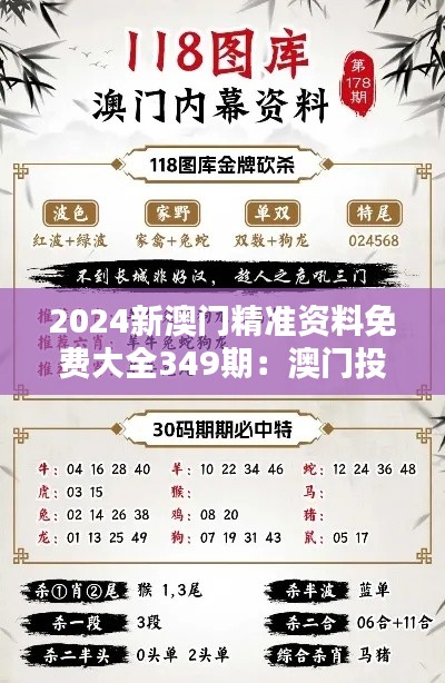 2024新澳门精准资料免费大全349期:澳门投资最有价值的参考资源
