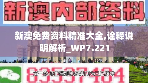 新澳免费资料精准大全,诠释说明解析_WP7.221