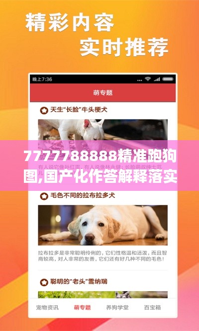 7777788888精准跑狗图,国产化作答解释落实_网页款4.348