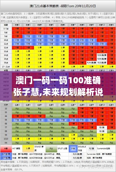 澳门一码一码100准确张子慧,未来规划解析说明_Tizen19.261
