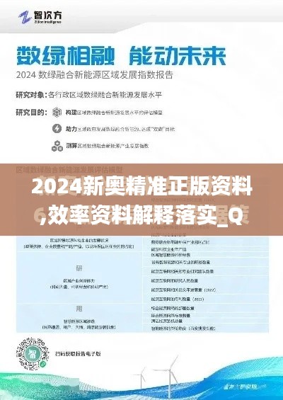 2024新奥精准正版资料,效率资料解释落实_QHD版8.231