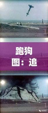 轻飞曼舞 第8页