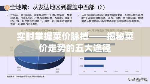 实时掌握菜价脉搏——揭秘菜价走势的五大途径