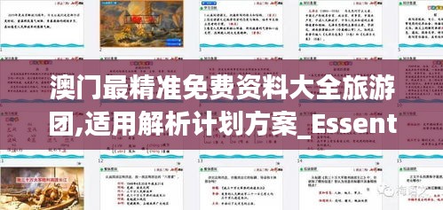 澳门最精准免费资料大全旅游团,适用解析计划方案_Essential8.821