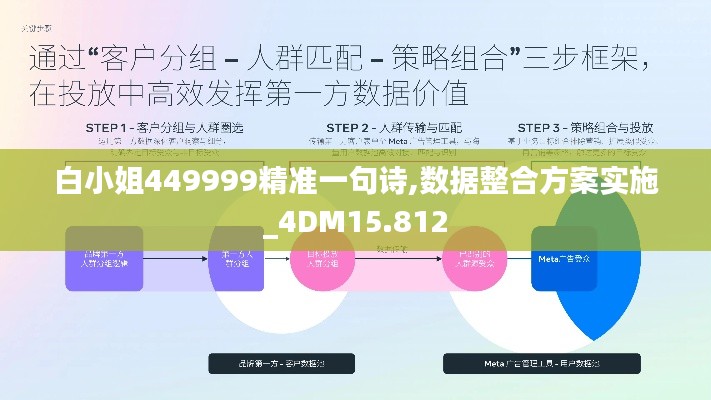 白小姐449999精准一句诗,数据整合方案实施_4DM15.812