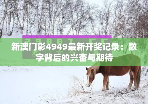 新澳门彩4949最新开奖记录:数字背后的兴奋与期待