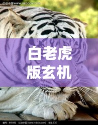 白老虎版玄机资料大全免费：无限扩容知识库，白老虎版资料的免费福利