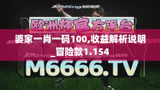 婆家一肖一码100,收益解析说明_冒险款1.154