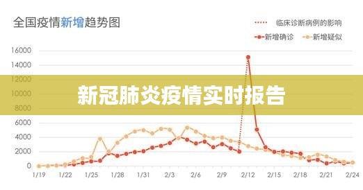 空前绝后 第5页