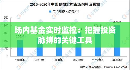 场内基金实时监控:把握投资脉搏的关键工具