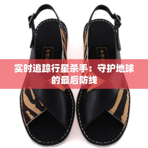 实时追踪行星杀手：守护地球的最后防线
