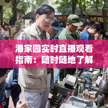 潘家园实时直播观看指南:随时随地了解古玩市场动态