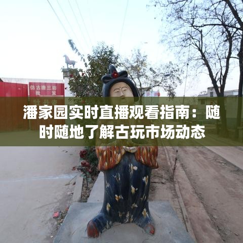 潘家园实时直播观看指南:随时随地了解古玩市场动态