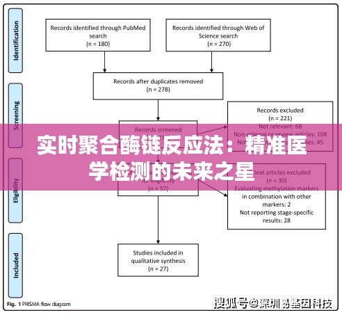 实时聚合酶链反应法:精准医学检测的未来之星