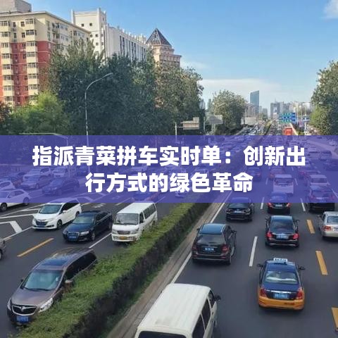 指派青菜拼车实时单:创新出行方式的绿色革命
