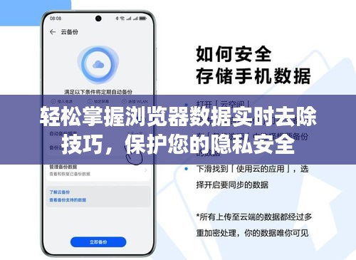 轻松掌握浏览器数据实时去除技巧，保护您的隐私安全