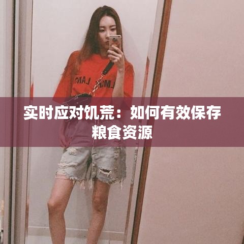 实时应对饥荒：如何有效保存粮食资源