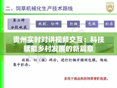 贵州实时对讲视频交互：科技赋能乡村发展的新篇章