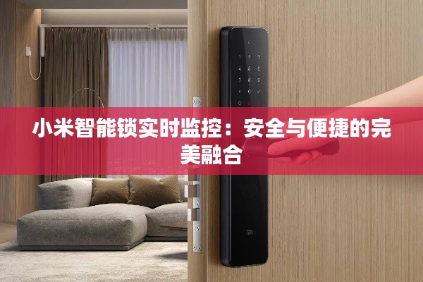 小米智能锁实时监控：安全与便捷的完美融合