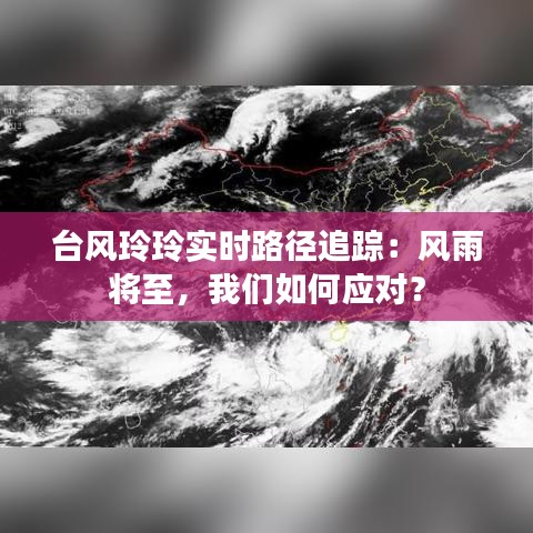 台风玲玲实时路径追踪:风雨将至,我们如何应对?