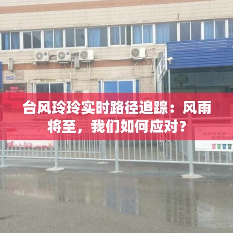 台风玲玲实时路径追踪:风雨将至,我们如何应对?
