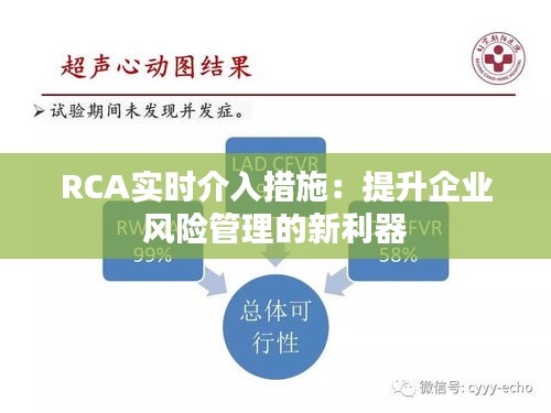 RCA实时介入措施:提升企业风险管理的新利器