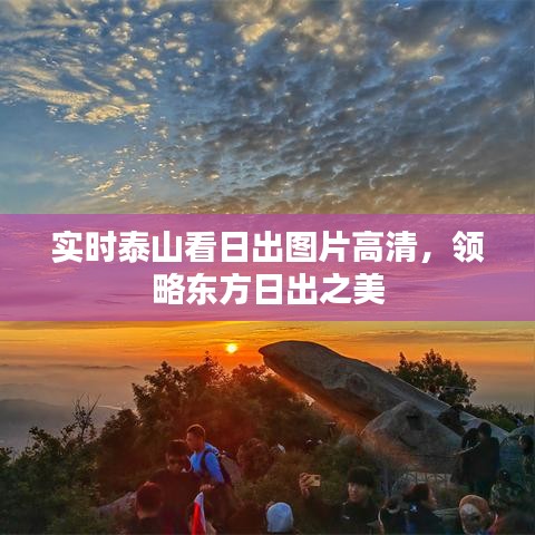实时泰山看日出图片高清，领略东方日出之美