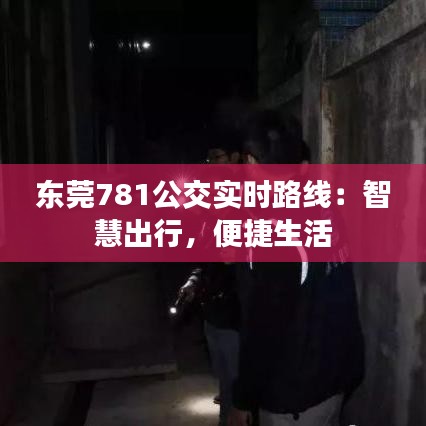东莞781公交实时路线：智慧出行，便捷生活