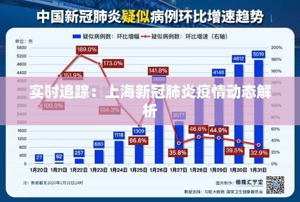 实时追踪:上海新冠肺炎疫情动态解析
