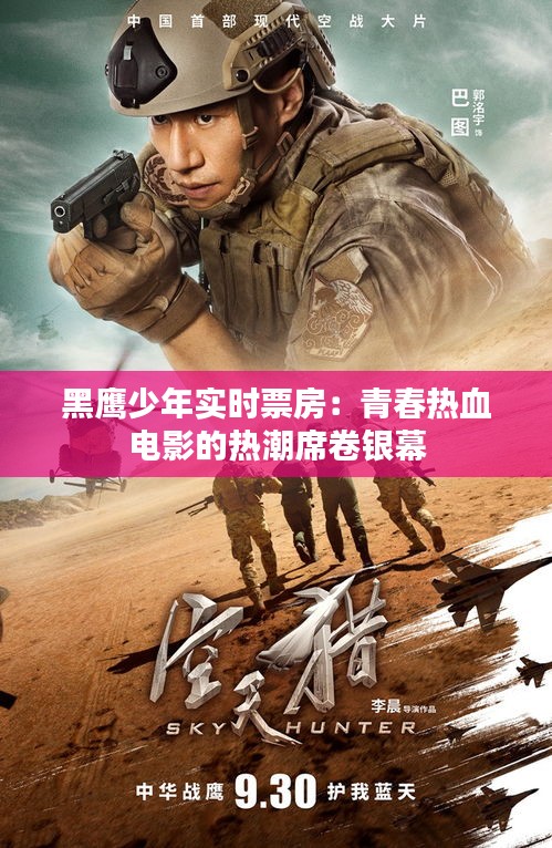黑鹰少年实时票房:青春热血电影的热潮席卷银幕