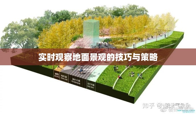实时观察地面景观的技巧与策略