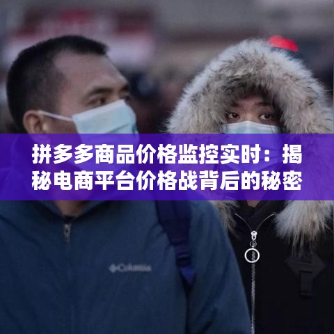 拼多多商品价格监控实时:揭秘电商平台价格战背后的秘密